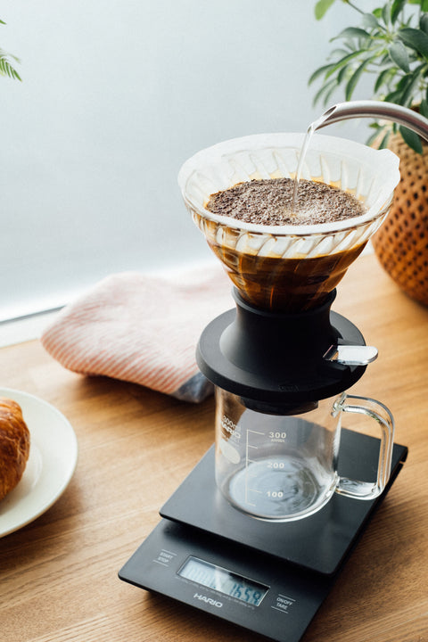 Hario Switch Immersion Dripper 02 - Drips