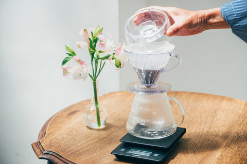 Hario V60 Drip Assist - Drips  