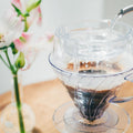Hario V60 Drip Assist - Drips  