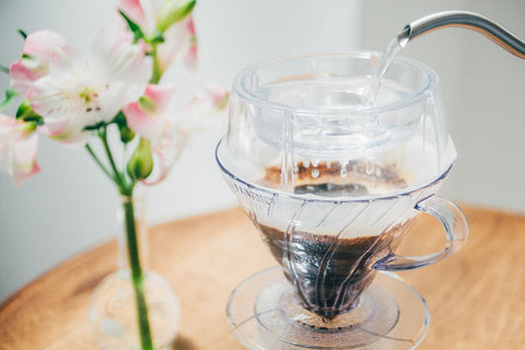 Hario V60 Drip Assist - Drips  